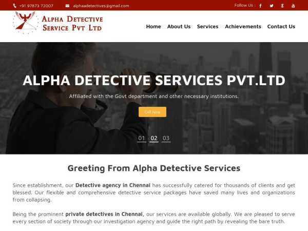 alphadetectiveservice.com