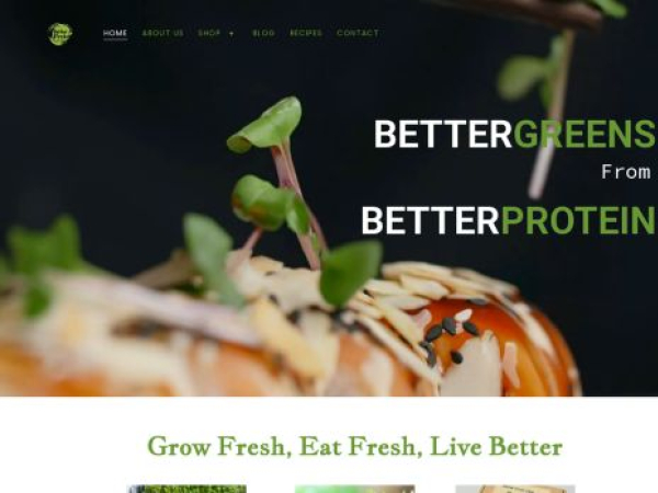 betterprotein.in