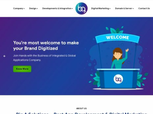 bigasolutions.in