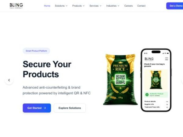 blingtechconnect.com