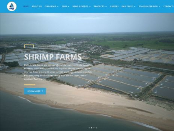 bmrgroups.com