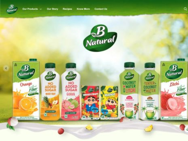 bnatural.in