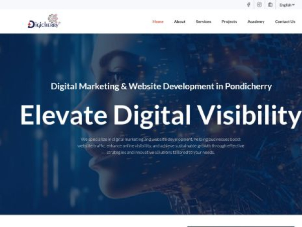 digicherry.in