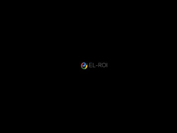 elroiitsolutions.com