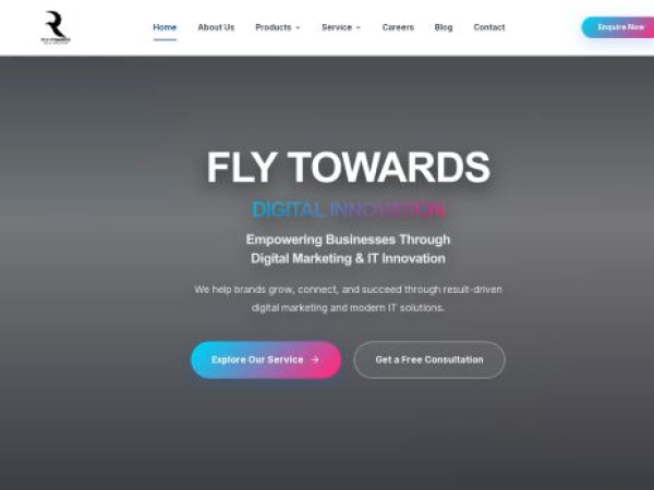 flytowardsdigitalinnovation.com