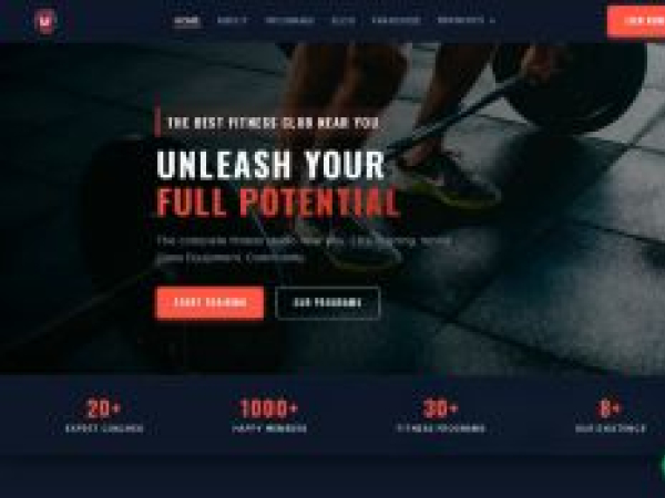focus313fitness.com