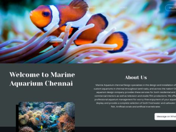 marineaquariumchennai.com