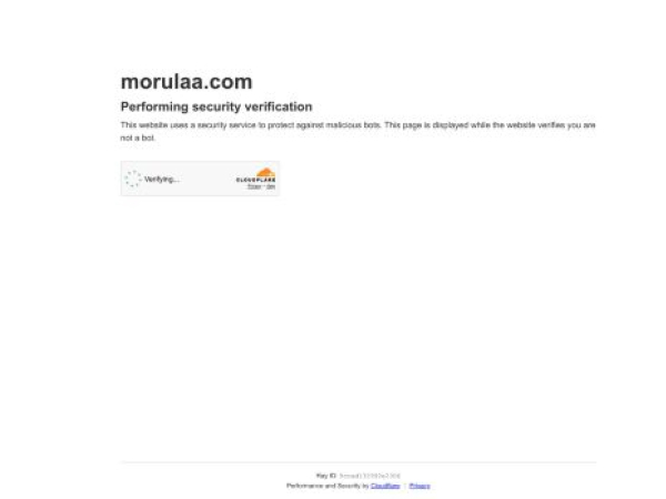 morulaa.com