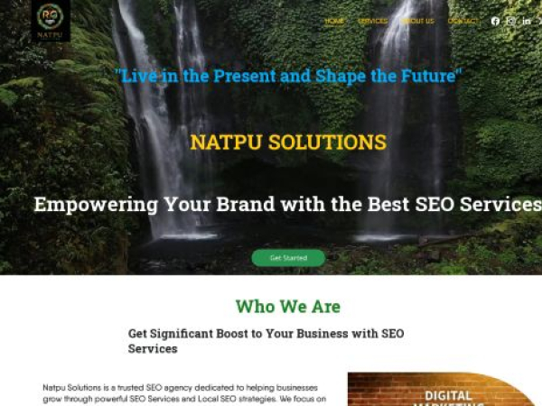 natpusolutions.com