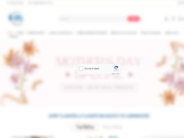 nillablooms.com