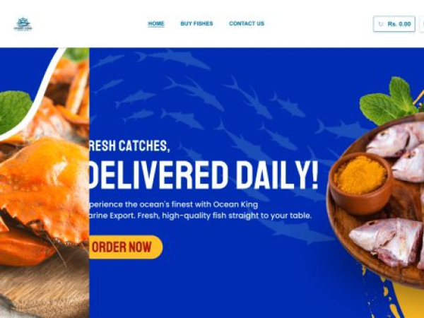 oceankingexport.com