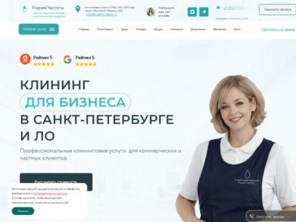 rodnik-clean.ru