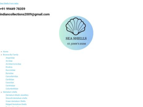 seashellsfromindia.com