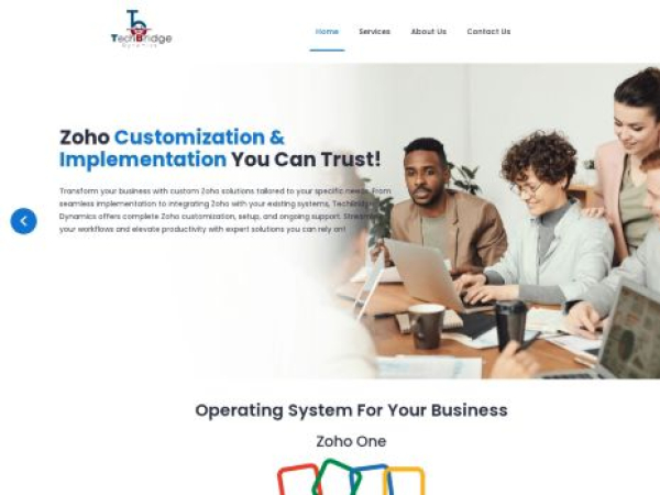 techbridgedynamics.com