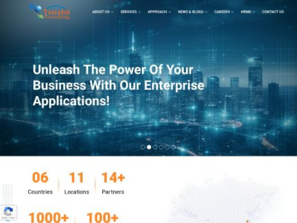 terrabit-consulting.com