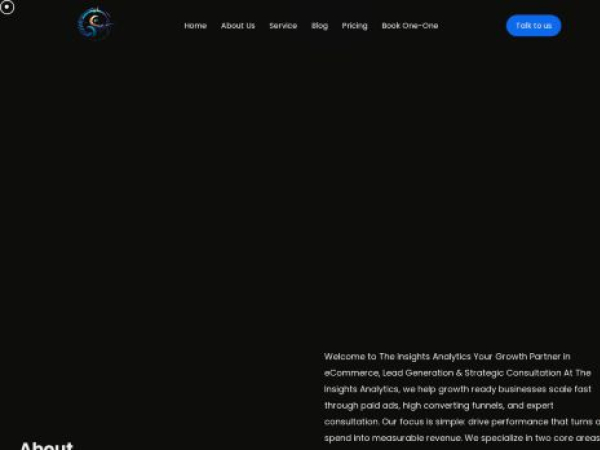 theinsightsanalytics.com