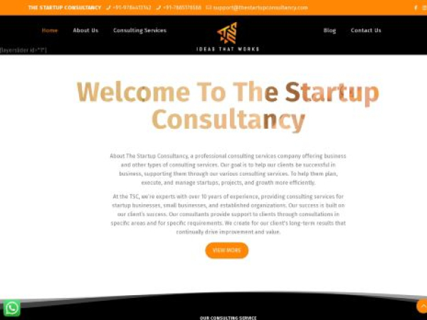 thestartupconsultancy.com