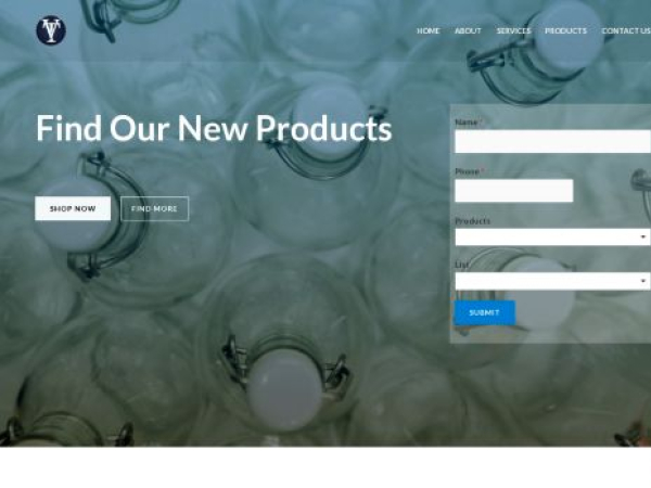 thevisiontraders.com