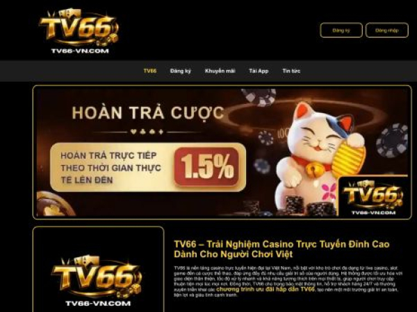 tv66-vn.com