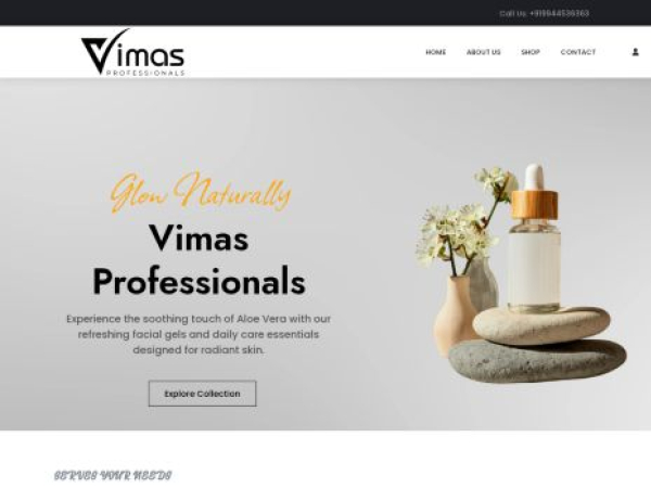vimasprofessionals.com