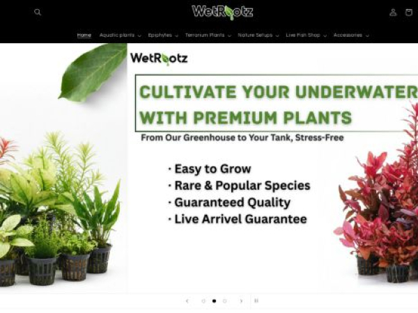 wetrootz.com