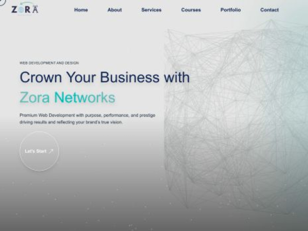 zoranetworks.com